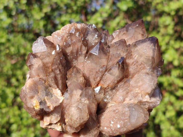 Natural Cascading White Phantom Smokey Quartz Clusters  x 2 From Luena, Congo - Toprock Gemstones and Minerals 