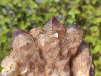 Natural Cascading White Phantom Smokey Quartz Clusters  x 2 From Luena, Congo - Toprock Gemstones and Minerals 