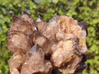 Natural Cascading White Phantom Smokey Quartz Clusters  x 2 From Luena, Congo - Toprock Gemstones and Minerals 