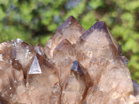 Natural Cascading White Phantom Smokey Quartz Clusters  x 2 From Luena, Congo - Toprock Gemstones and Minerals 