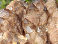 Natural Cascading White Phantom Smokey Quartz Clusters  x 2 From Luena, Congo - Toprock Gemstones and Minerals 