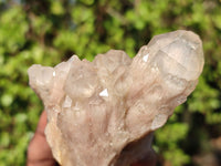 Natural Smokey Quartz Clusters  x 6 From Luena, Congo - Toprock Gemstones and Minerals 