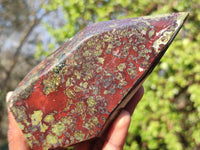 Polished Dragon Bloodstone Standing Free Forms  x 2 From Southern Africa - Toprock Gemstones and Minerals 