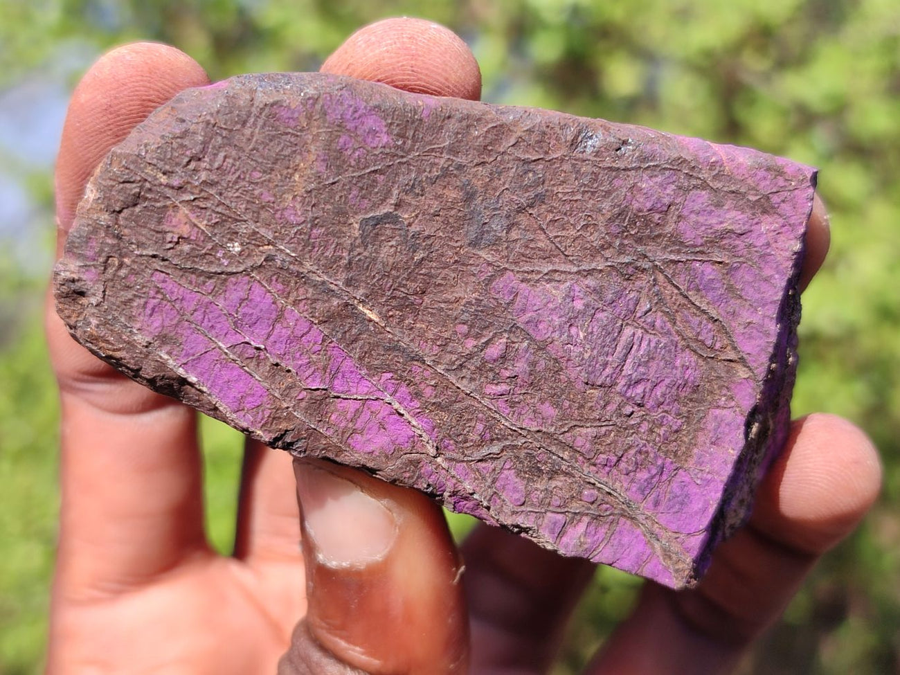 Purpurite 161 grams - Cameroon pegmatite, outlets Goabeb Farm 63, Karibib, Erongo Region, Namibia