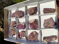 Natural Metallic Purpurite Cobbed Specimens  x 12 From Erongo, Namibia - Toprock Gemstones and Minerals 