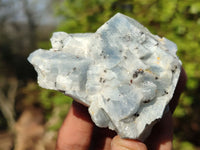 Natural New Sky Blue Calcite Specimens  x 12 From Spitzkop, Namibia - Toprock Gemstones and Minerals 