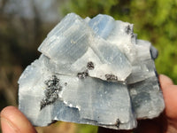 Natural New Sky Blue Calcite Specimens  x 12 From Spitzkop, Namibia - Toprock Gemstones and Minerals 