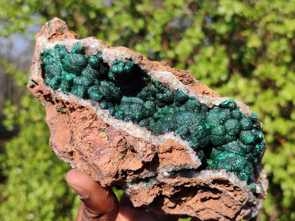 Natural Rare Ball Malachite On Drusy Quartz & Dolomite Matrix  x 2 From Kambove, Congo - Toprock Gemstones and Minerals 
