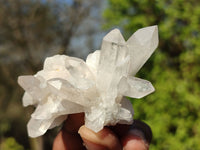 Natural Clear Quartz Crystal Clusters  x 35 From Mpika, Zambia - Toprock Gemstones and Minerals 