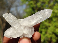 Natural Clear Quartz Crystal Clusters  x 35 From Mpika, Zambia - Toprock Gemstones and Minerals 