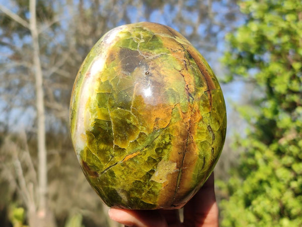 Polished Green Opal Standing Free Forms  x 2 From Madagascar - Toprock Gemstones and Minerals 