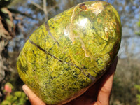 Polished Green Opal Standing Free Forms  x 2 From Madagascar - Toprock Gemstones and Minerals 