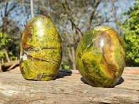 Polished Green Opal Standing Free Forms  x 2 From Madagascar - Toprock Gemstones and Minerals 