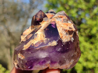 Polished Gemmy Window Amethyst Crystals  x 3 From Madagascar - Toprock Gemstones and Minerals 