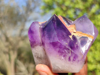 Polished Gemmy Window Amethyst Crystals  x 3 From Madagascar - Toprock Gemstones and Minerals 