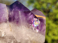 Polished Gemmy Window Amethyst Crystals  x 3 From Madagascar - Toprock Gemstones and Minerals 