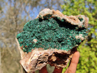 Natural Rare Ball Malachite On Drusy Quartz & Dolomite Matrix  x 1 From Kambove, Congo - Toprock Gemstones and Minerals 