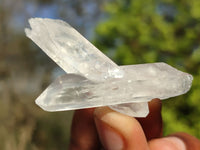 Natural Single Clear Quartz Crystals  x 70 From Zambia - Toprock Gemstones and Minerals 