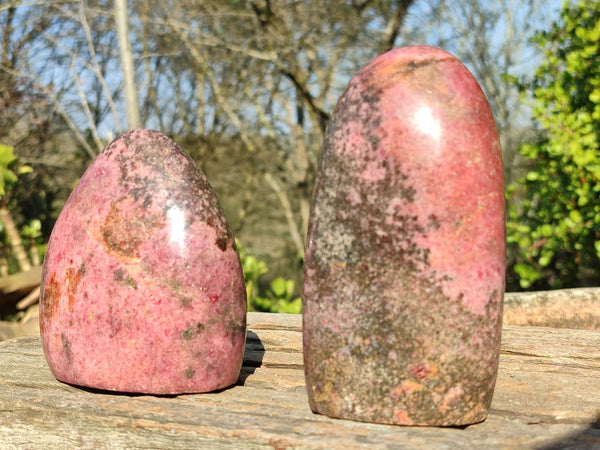 Polished Pink Rhodonite Standing Free Forms  x 2 From Madagascar - Toprock Gemstones and Minerals 