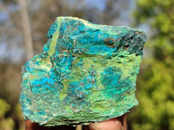 Natural Rough Blue Shattuckite Specimens  x 24 From Kaokoveld, Namibia - Toprock Gemstones and Minerals 