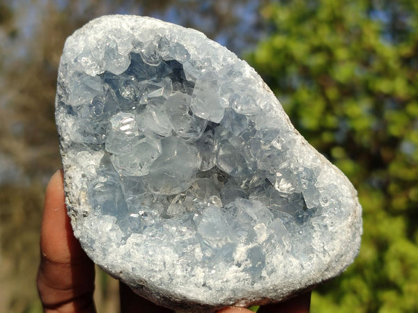 Natural Blue Celestite Crystal Specimens  x 6 From Madagascar - Toprock Gemstones and Minerals 