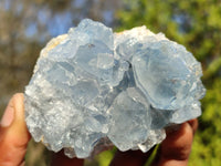 Natural Blue Celestite Crystal Specimens  x 6 From Madagascar - Toprock Gemstones and Minerals 