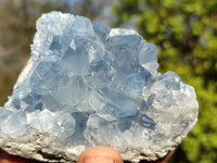 Natural Blue Celestite Crystal Specimens  x 6 From Madagascar - Toprock Gemstones and Minerals 