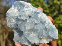 Natural Blue Celestite Crystal Specimens  x 6 From Madagascar - Toprock Gemstones and Minerals 