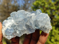 Natural Blue Celestite Crystal Specimens  x 6 From Madagascar - Toprock Gemstones and Minerals 