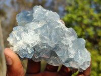 Natural Blue Celestite Crystal Specimens  x 6 From Madagascar - Toprock Gemstones and Minerals 