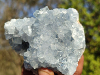 Natural Blue Celestite Crystal Specimens  x 6 From Madagascar - Toprock Gemstones and Minerals 