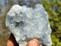 Natural Blue Celestite Crystal Specimens  x 6 From Madagascar - Toprock Gemstones and Minerals 