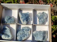 Natural Blue Celestite Crystal Specimens  x 6 From Madagascar - Toprock Gemstones and Minerals 