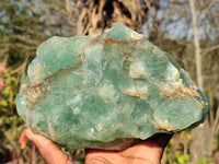 Natural Ice Green Fluorite Stepped Specimen x 1 From Uis, Namibia - Toprock Gemstones and Minerals 