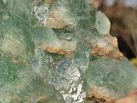 Natural Ice Green Fluorite Stepped Specimen x 1 From Uis, Namibia - Toprock Gemstones and Minerals 