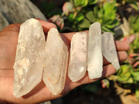 Natural Single Quartz Crystals  x 6 Kg Lot  From Madagascar - Toprock Gemstones and Minerals 