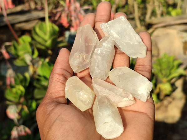 Natural Single Quartz Crystals  x 6 Kg Lot  From Madagascar - Toprock Gemstones and Minerals 