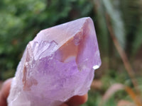 Natural Single Jacaranda Amethyst Crystals x 12 From Zambia