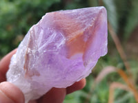 Natural Single Jacaranda Amethyst Crystals x 12 From Zambia