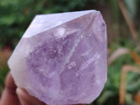 Natural Single Jacaranda Amethyst Crystals x 12 From Zambia