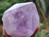 Natural Single Jacaranda Amethyst Crystals x 12 From Zambia