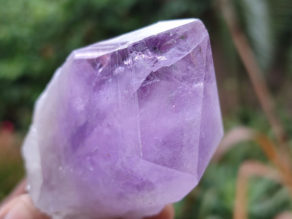 Natural Single Jacaranda Amethyst Crystals x 12 From Zambia