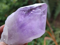 Natural Single Jacaranda Amethyst Crystals x 12 From Zambia