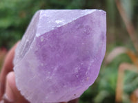 Natural Single Jacaranda Amethyst Crystals x 12 From Zambia