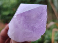 Natural Single Jacaranda Amethyst Crystals x 12 From Zambia