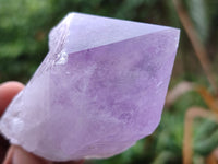 Natural Single Jacaranda Amethyst Crystals x 12 From Zambia