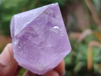 Natural Single Jacaranda Amethyst Crystals x 12 From Zambia