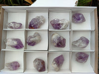 Natural Single Jacaranda Amethyst Crystals x 12 From Zambia