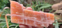 Natural New Sunset Orange Calcite Specimens  x 24 From Spitzkop, Namibia