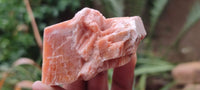 Natural New Sunset Orange Calcite Specimens  x 24 From Spitzkop, Namibia